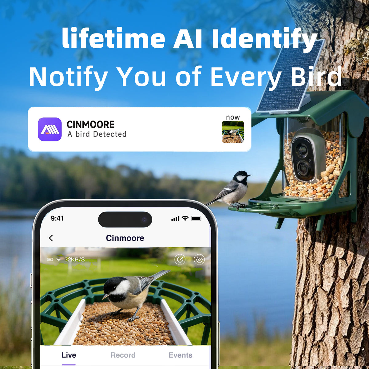 Solar 2.5K Wi-Fi Bird Feeder w/ Non-Subscription Bird Species Identification-BirdHub(P3U)