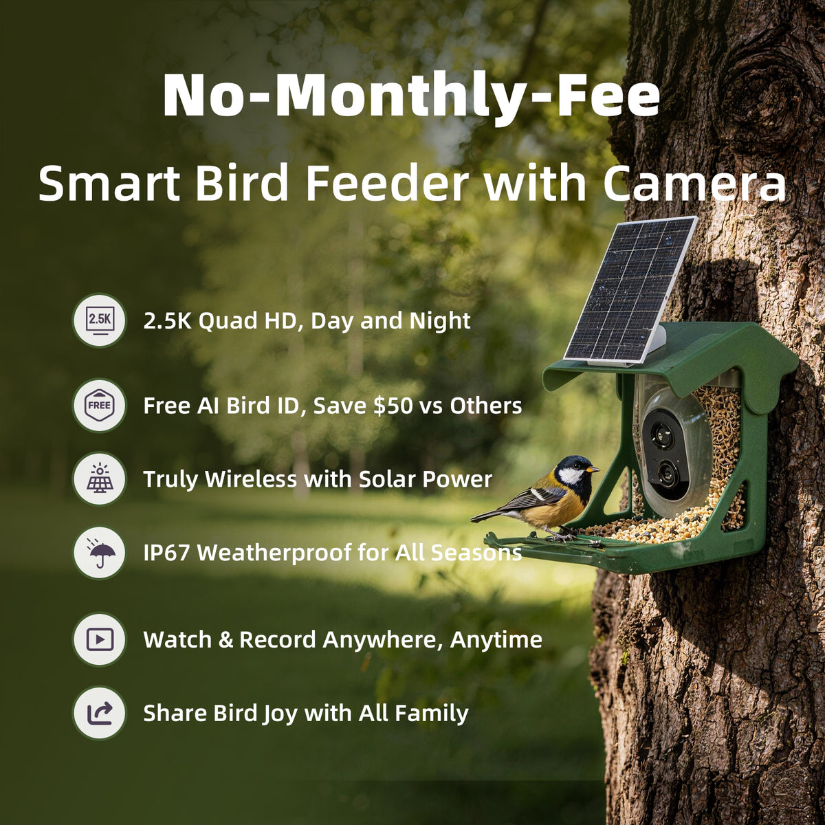 Solar 2.5K Wi-Fi Bird Feeder w/ Non-Subscription Bird Species Identification-BirdHub(P3U)