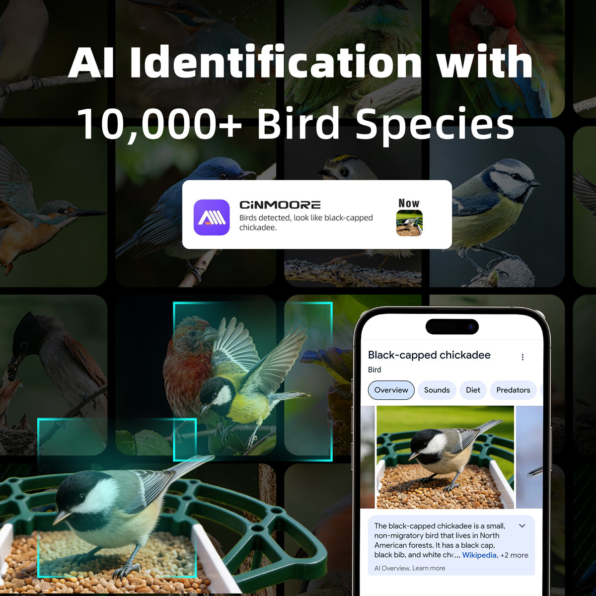 Solar 2.5K Wi-Fi Bird Feeder w/ Non-Subscription Bird Species Identification-BirdHub(P3U)