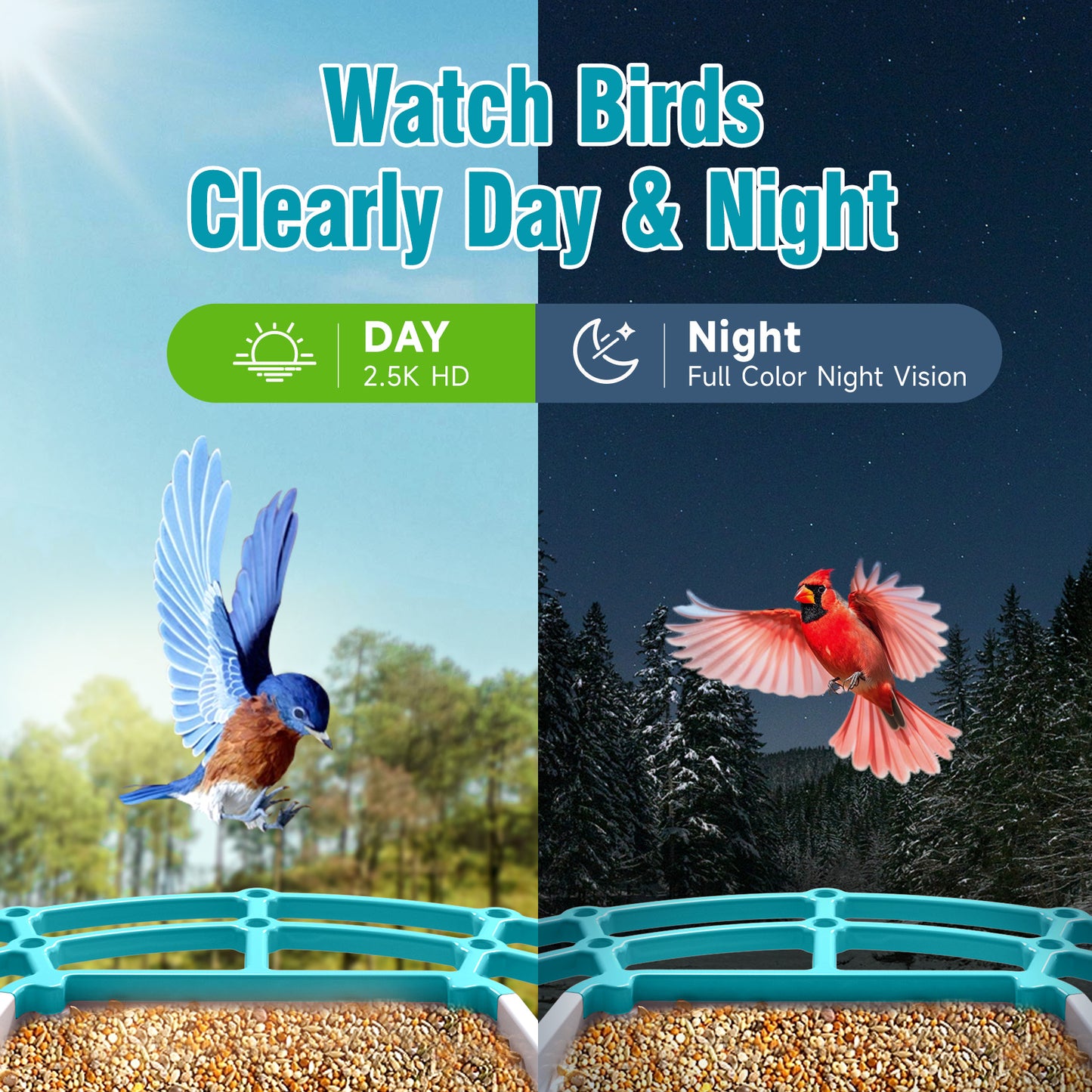 Solar 2.5K Wi-Fi Bird Feeder w/ Non-Subscription Bird Species Identification-BirdHub(P2U)